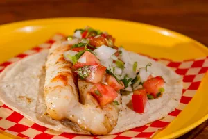 535171358_122260079528252013_2993932888460442453_n