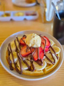 WhatsApp Image 2026-04-11 at 3.31.24 PM (1)