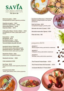 menu savia 1
